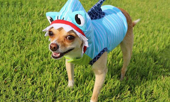 shark costumes