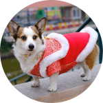 Chinese Style Pet Costumes