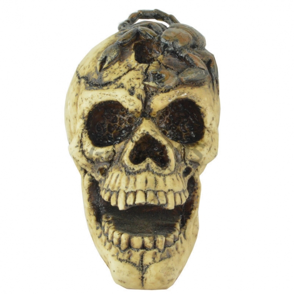 Halloween Decorations Scorpion Skull