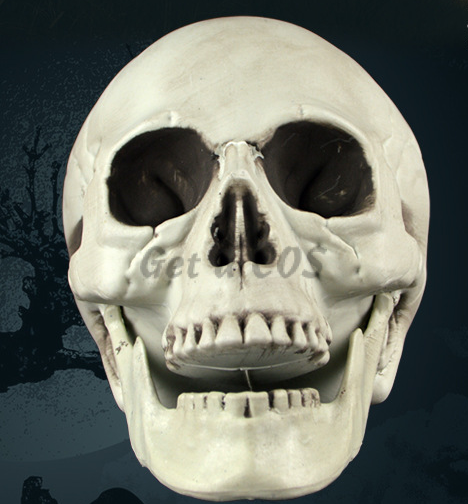 Halloween Decorations Horror Skull