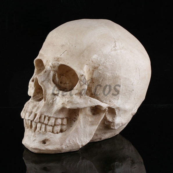 Halloween Props Resin Skull Ornament