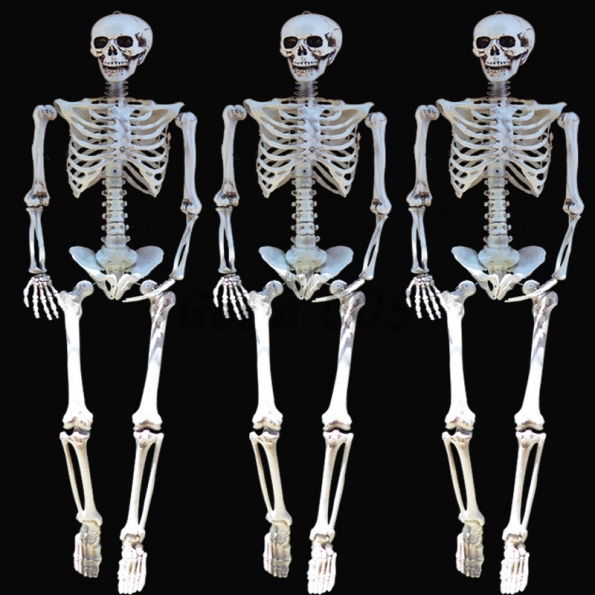 Halloween Supplies Adult Skeleton Props