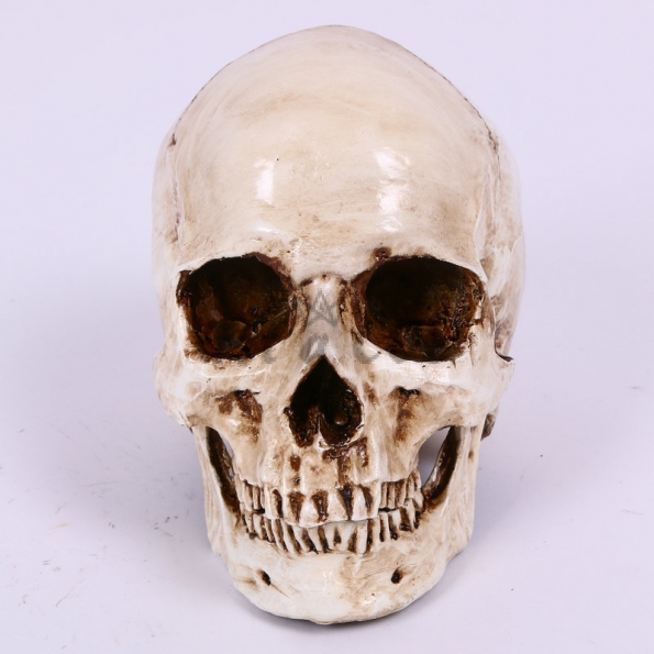 Halloween Decorations Tooth Separation Skull