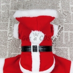 Pet Costumes Santa Claus Shape