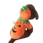 Pet Halloween Costumes Pumpkin Shape