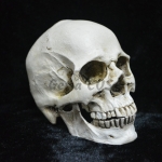 Halloween Decorations Resin Skull Head