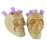 Halloween Supplies Skull Test Tube Rack