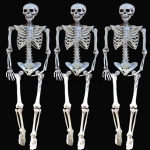 Halloween Supplies Adult Skeleton Props