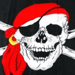 Halloween Decorations Pirate Flag
