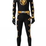 Power Rangers Costume DinoThunder Cosplay - Customized