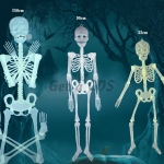 Halloween Supplies Human Bones