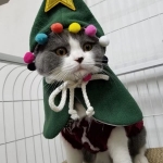 Pet Costumes Christmas Tree Shape
