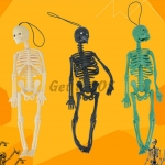 Halloween Decorations Skeleton Model Kid's Toys