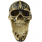 Halloween Supplies Pattern Skull