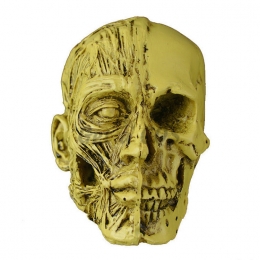 Halloween Supplies Half Face Skull Ornament