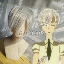 Cosplay Wigs Antarcticite