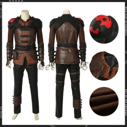Movie Costumes How to Train Your Dragon 3 Hiccup Suit - Customized