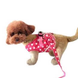 Pet Halloween Costumes Polka Dot Strap