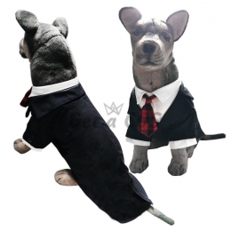 Pet Halloween Costumes Wedding Suit