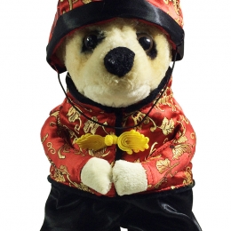 Pet Halloween Costumes New Year Clothes