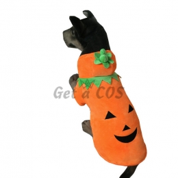 Pet Halloween Costumes Pumpkin Shape