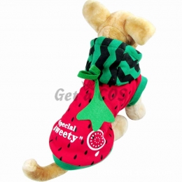 Pet Halloween Costumes Watermelon Suit