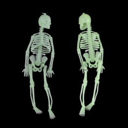 Halloween Decorations Small Skeleton Pendant