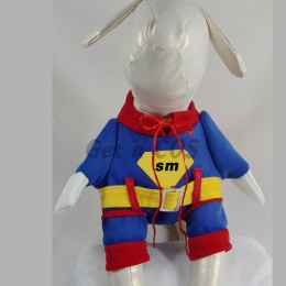 Pet Halloween Costumes Superhero Style