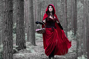 sexy little red riding hood costume
